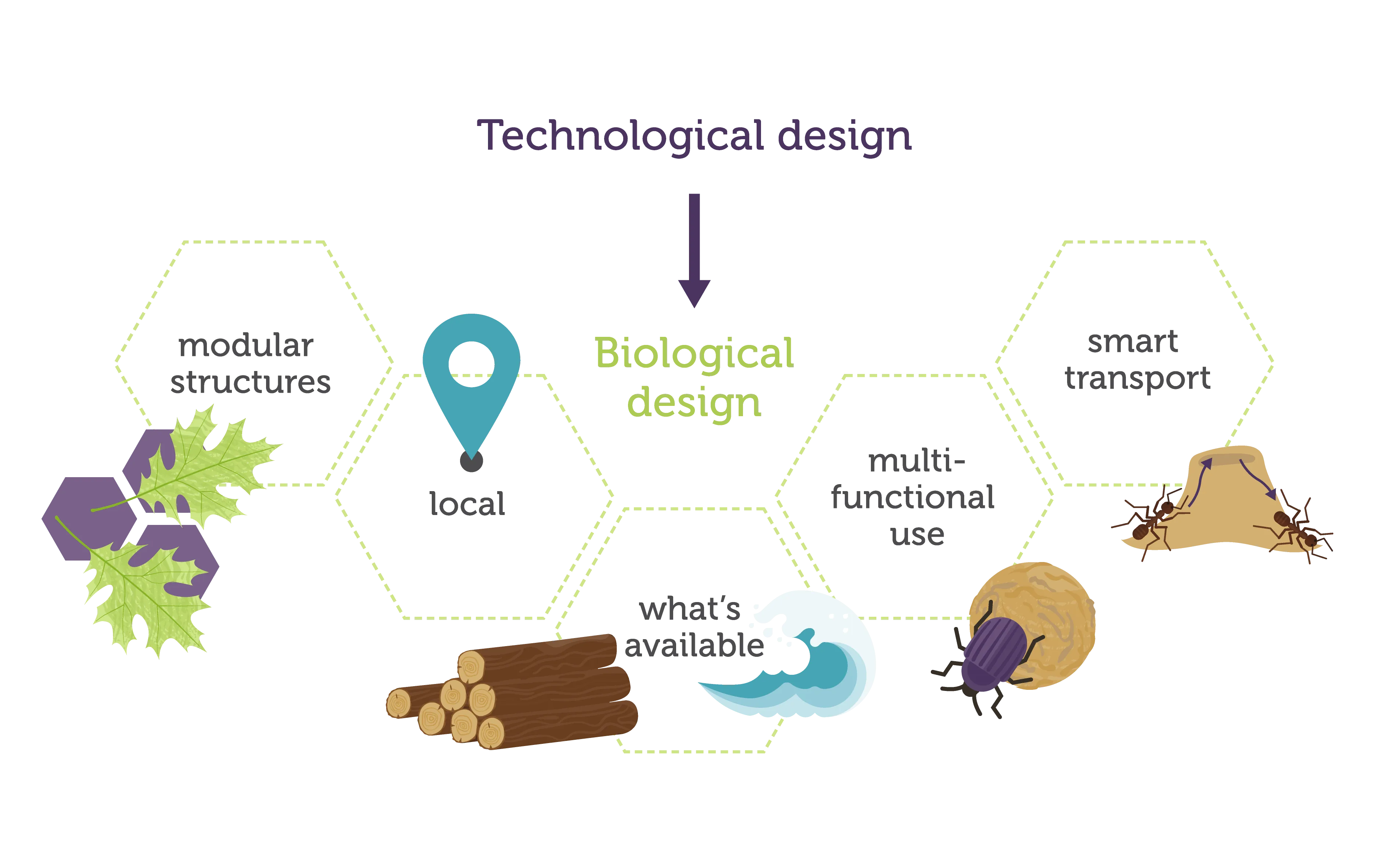 Firm of the Future Biological design